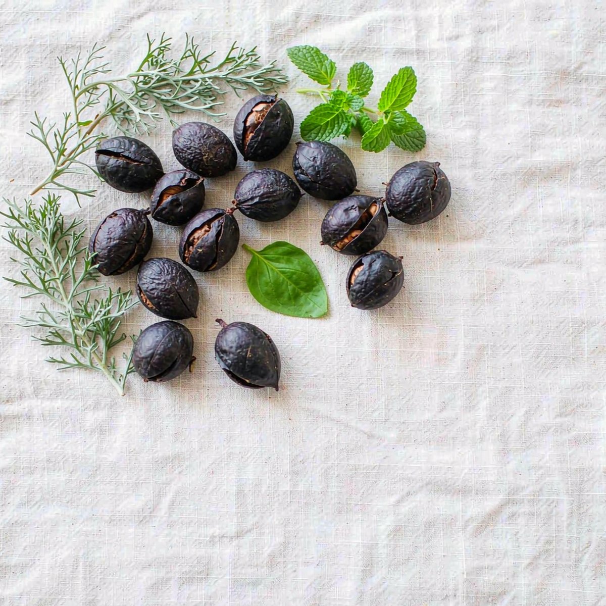 Overhead flat-lay of fresh black walnut hulls and wormwood sprigs on light linen with bright natural light