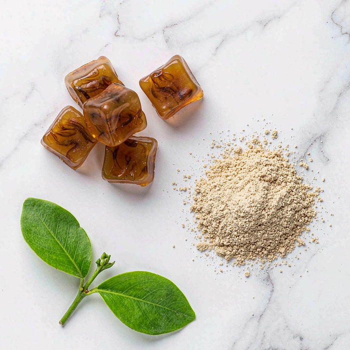 Top-down flat lay of amber wellness gummies and amino acid powder beside a fresh green herb on white marble