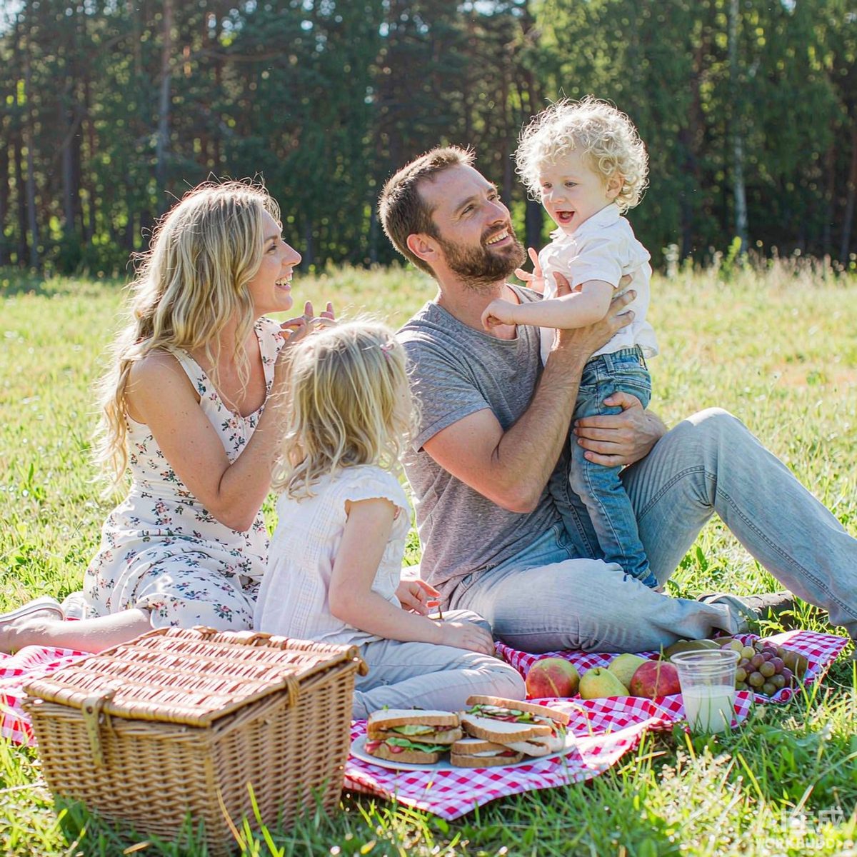 What Is Vitamin B3 (Niacin)? Benefits, Uses, Dosage & Safety | q'ankyaq natural supplements