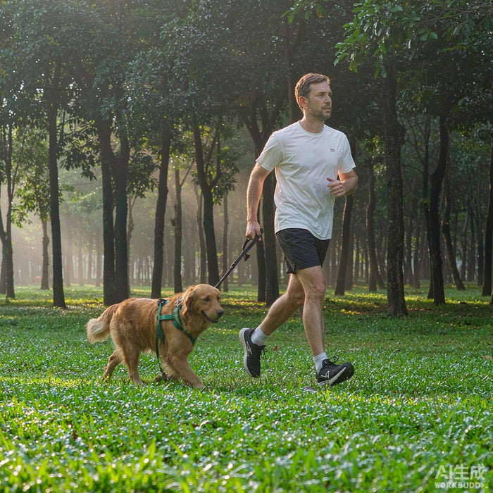 Healthy Circulation in Athletes: Causes, Support & Supplement Guide | q'ankyaq natural supplements