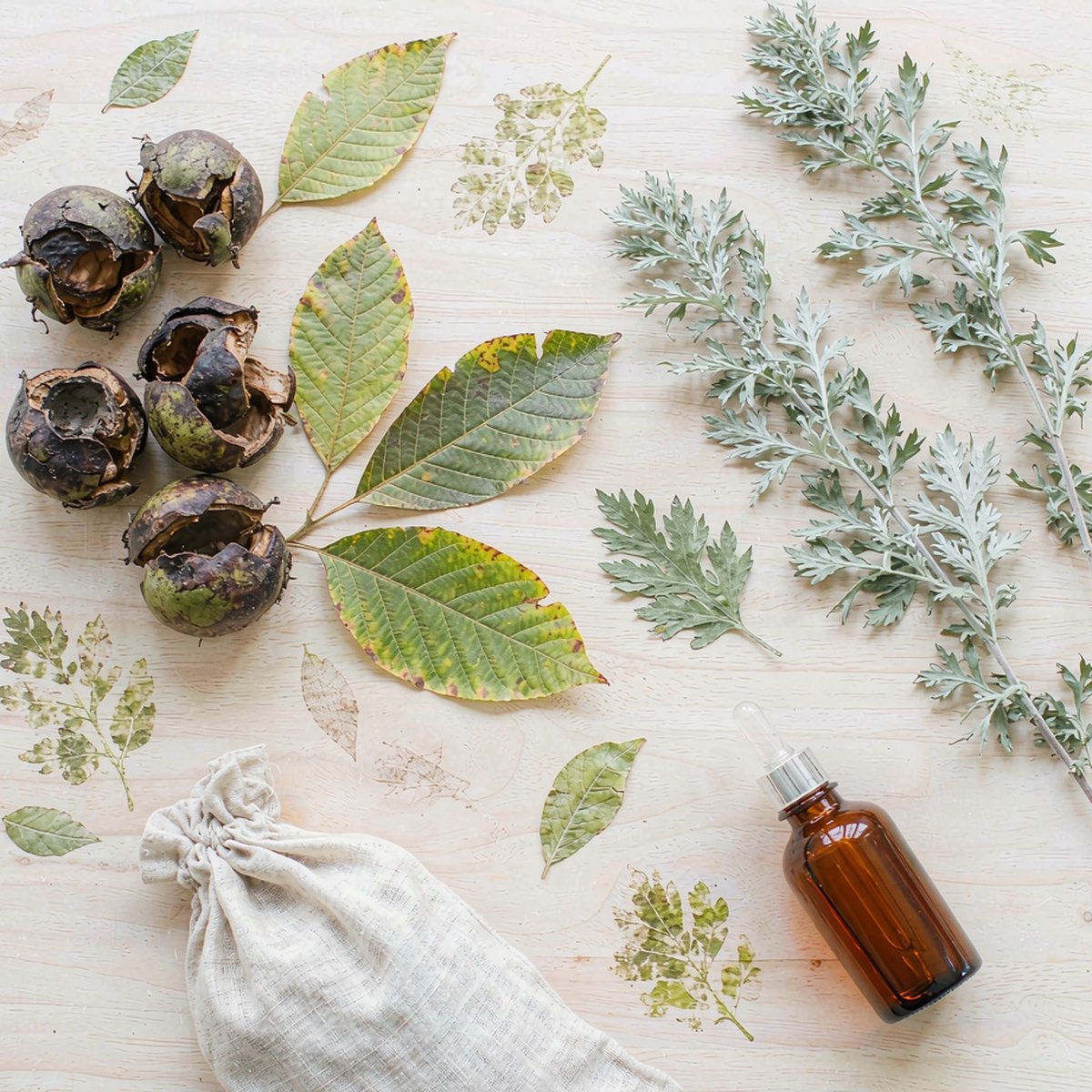 Overhead flat-lay of black walnut husks, walnut leaves, dried wormwood sprigs and an unlabeled amber dropper bottle.