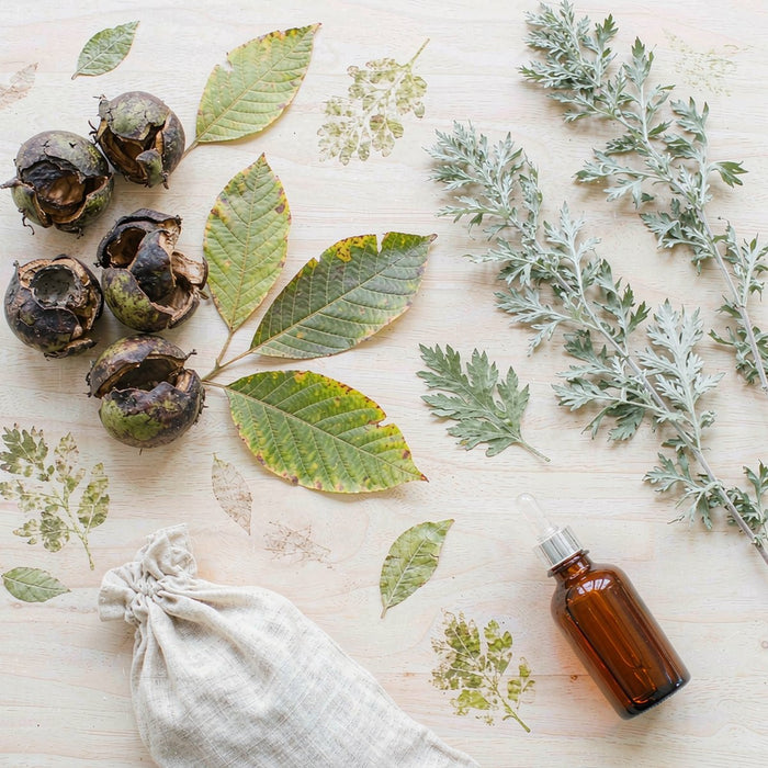 Overhead flat-lay of black walnut husks, walnut leaves, dried wormwood sprigs and an unlabeled amber dropper bottle.
