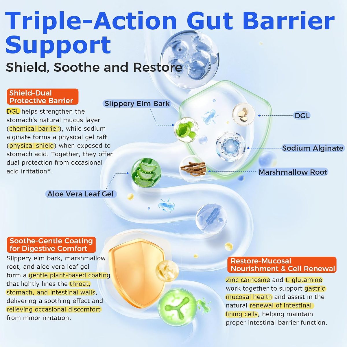 Bloating in Athletes: Causes, Support & Supplement Guide | q'ankyaq natural supplements
