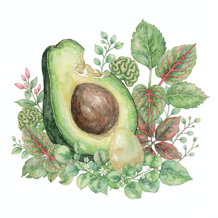 Lipid Balance For Beginners | q'ankyaq natural supplements