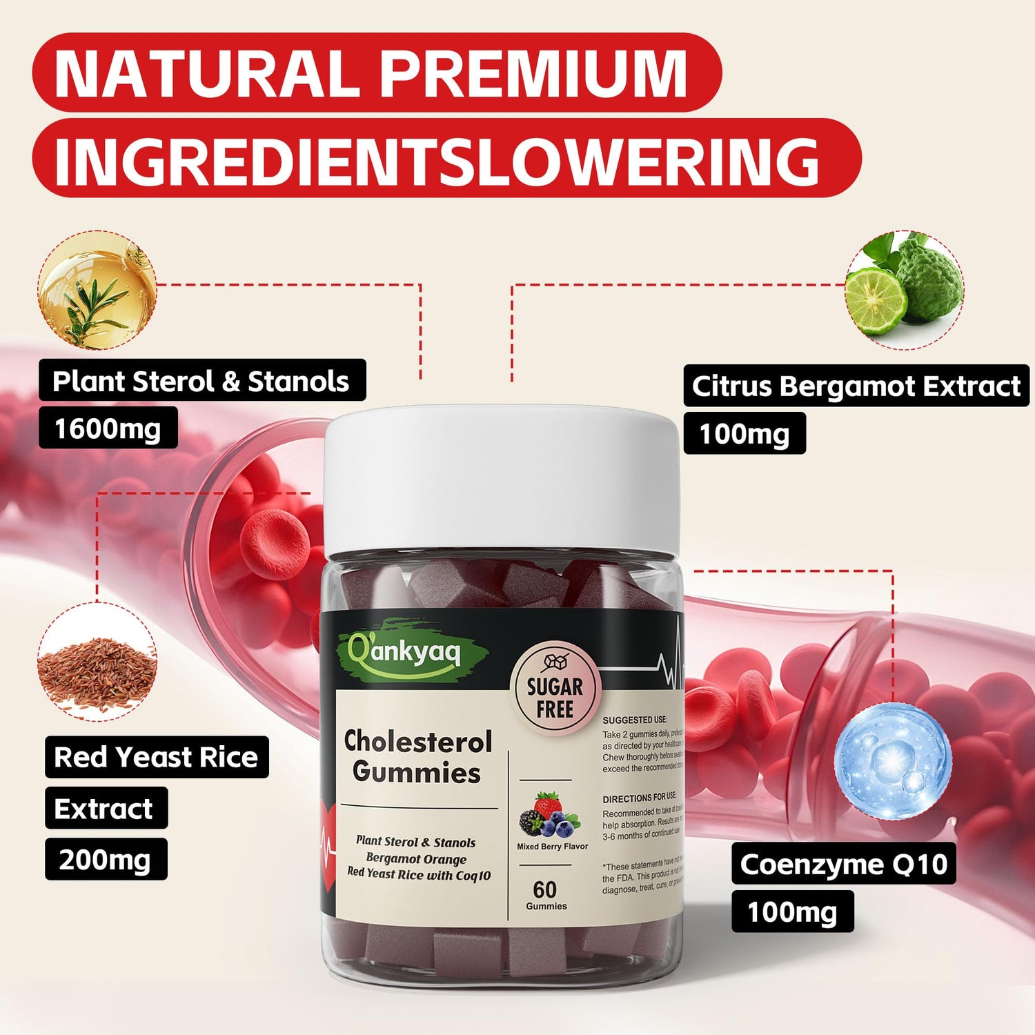 plant sterols stanols