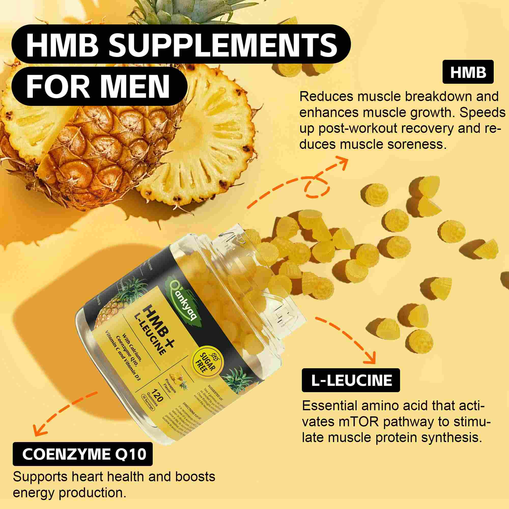 hmb supplement muscle growth