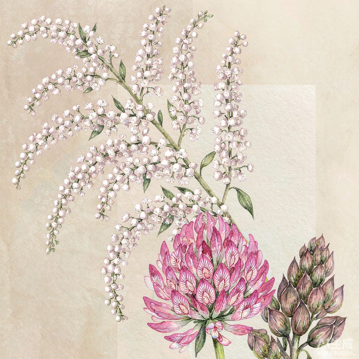 Wormwood For Traditional Bitters: Does It Work | q'ankyaq natural supplements