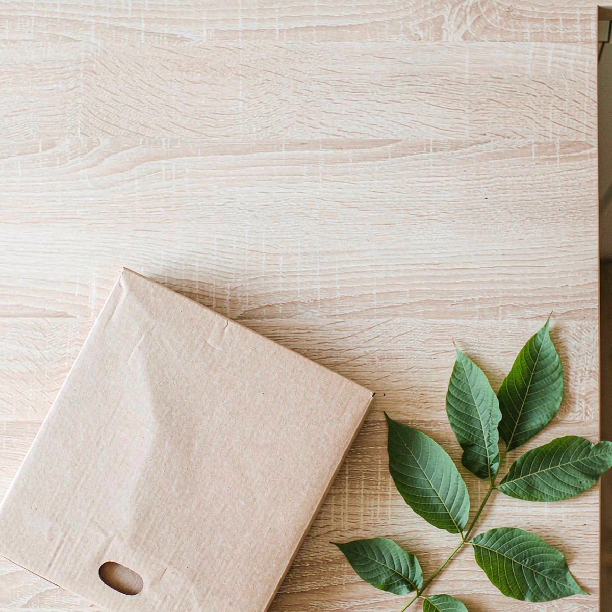 Overhead view of an amber glass dropper bottle beside a kraft subscription mailer box and walnut leaves on a sunlit oak kitchen counter