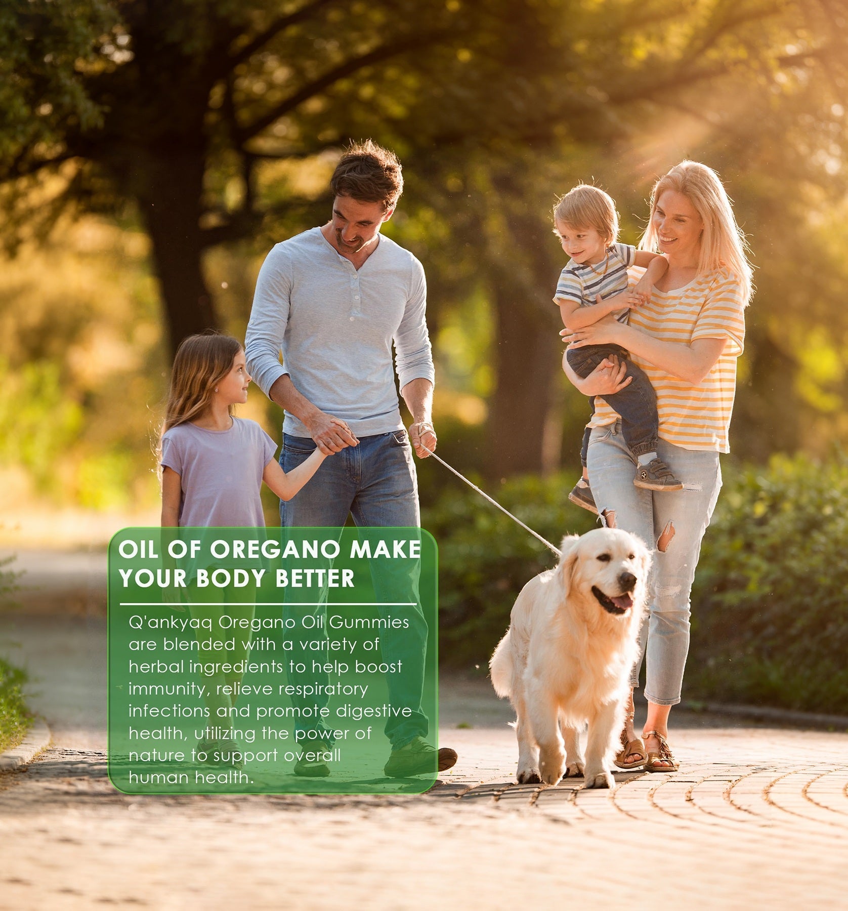 Oil of Oregano with Black Seed Benefits: A Natural Synergy for Wellness
