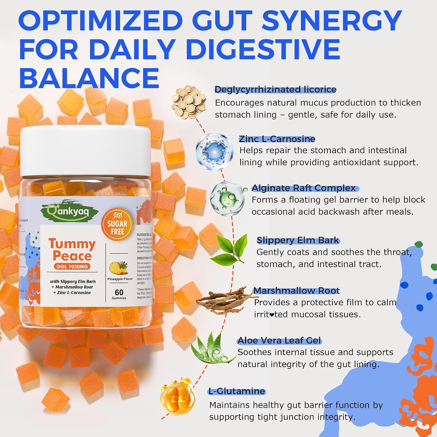 Digestive Health After 50: Why Your Stomach Lining Changes With Age