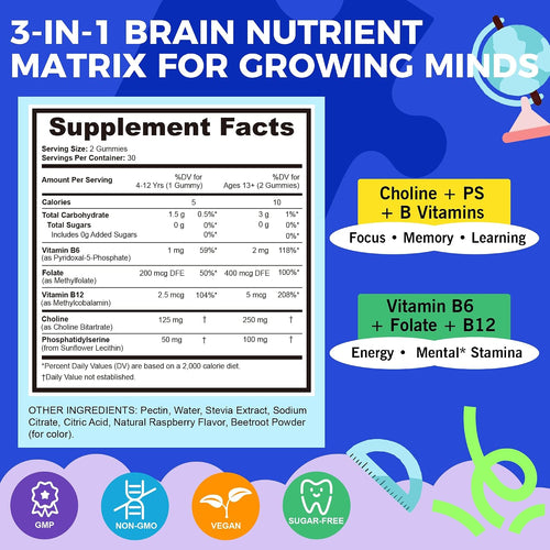 Q'ankyaq Choline Supplements for Kids & Teens, Focus & Memory Gummies, with Choline Bitartrate, Phosphatidylserine, Vitamin B-Complex, Support Brain Health, Sugar-Free, Vegan, 60 Gummies