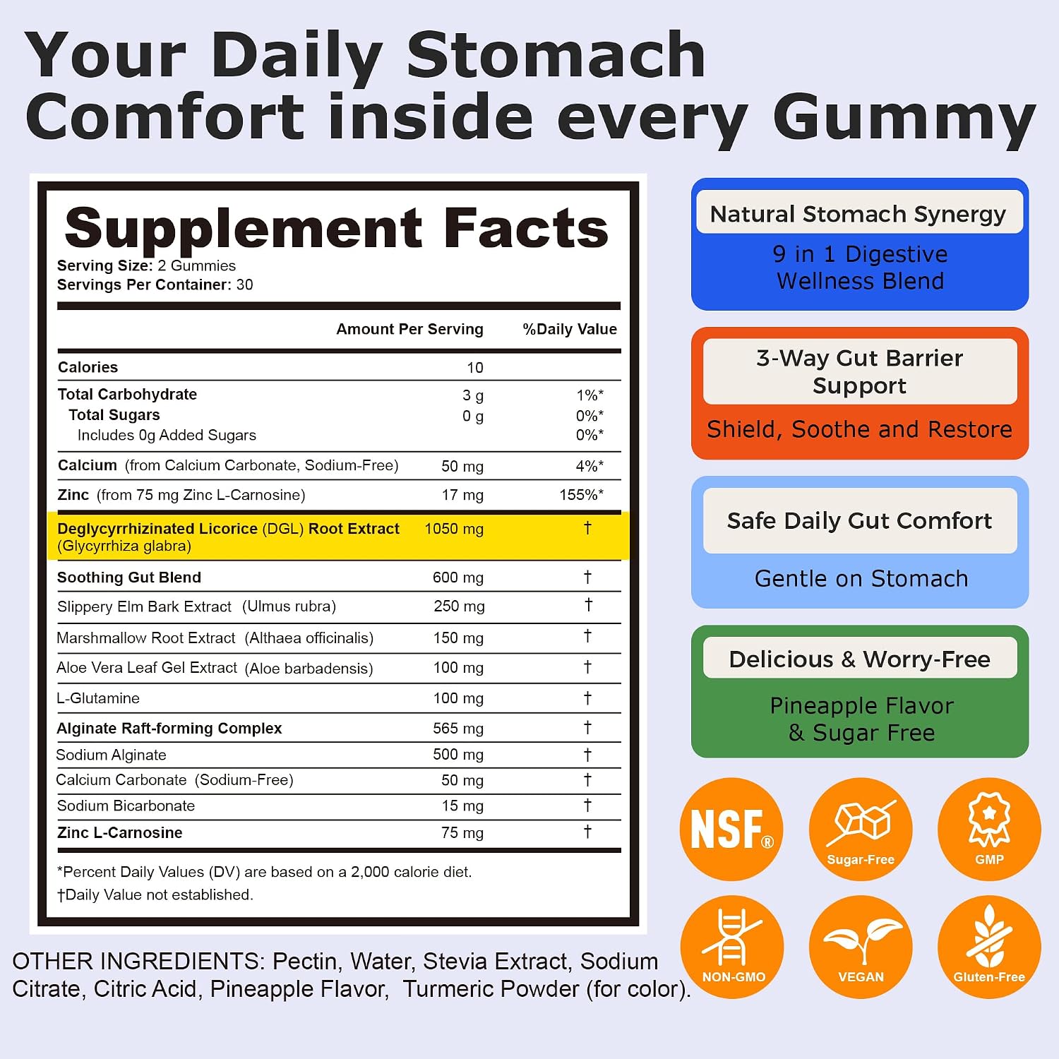 9 in 1 digestive wellness