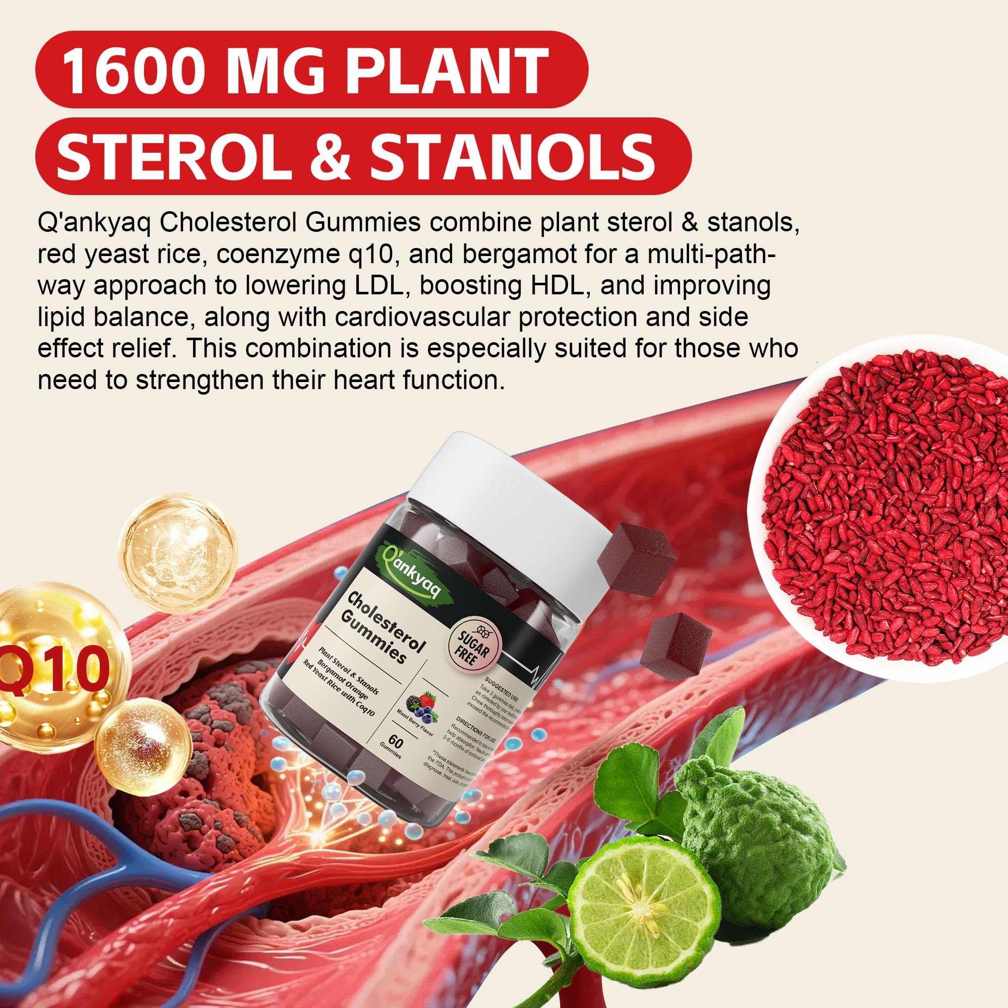 Cholesterol gummies sterol