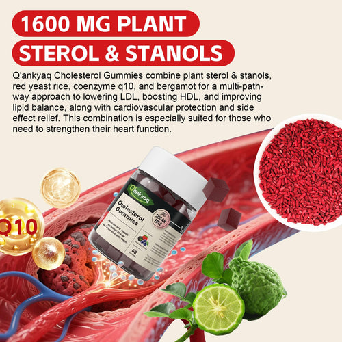 Cholesterol gummies sterol