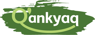 qankyaq logo