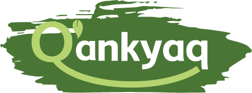 qankyaq logo