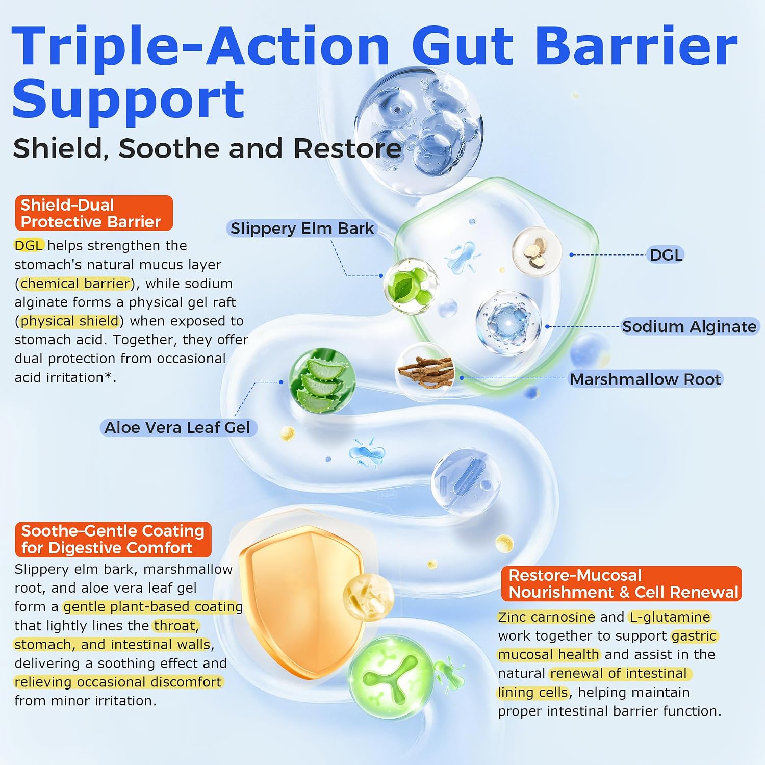 gut barrier support