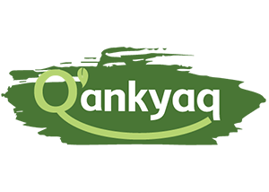 Qankyaq